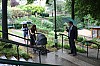 IMG_4939_envoi.jpg IMG_4939_envoi.jpg